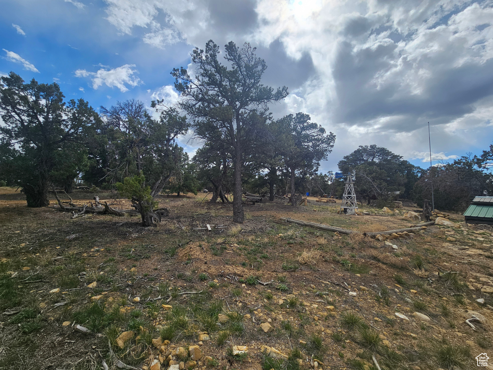 CEDAR MT 9 - Residential