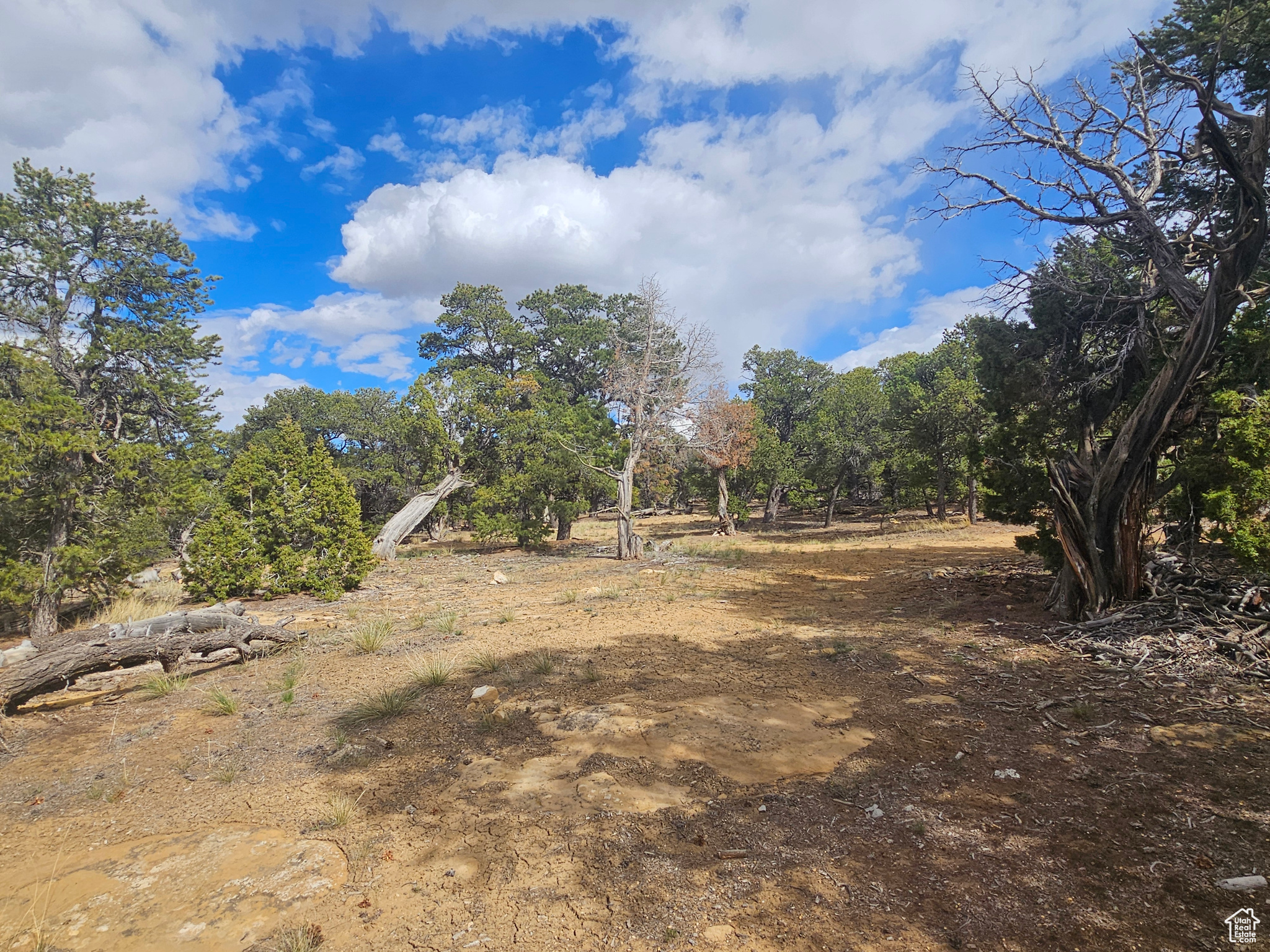 CEDAR MT 9 - Residential