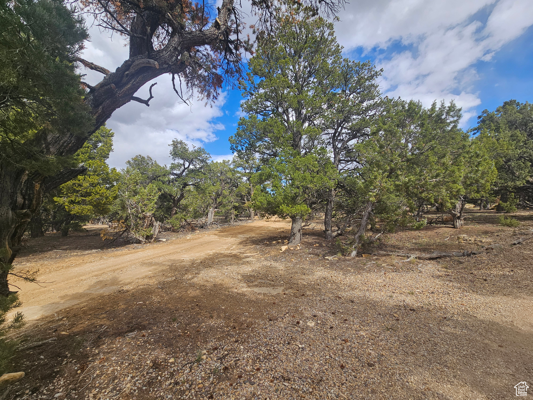 CEDAR MT 9 - Residential