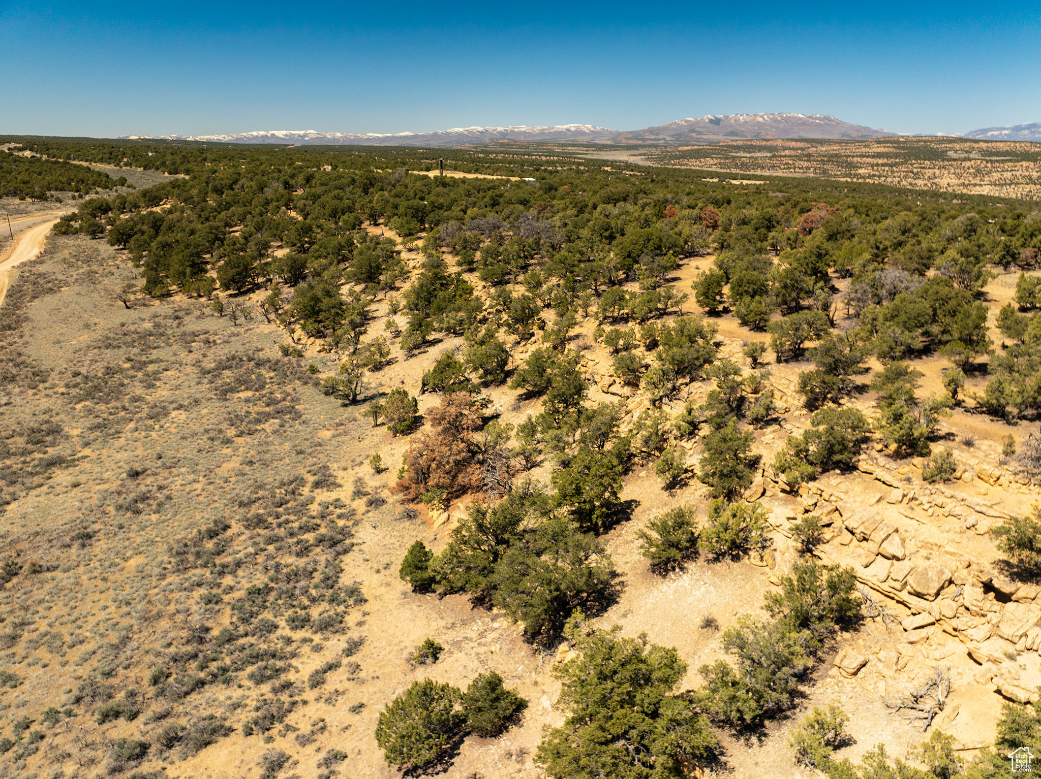 CEDAR MT 9 - Residential