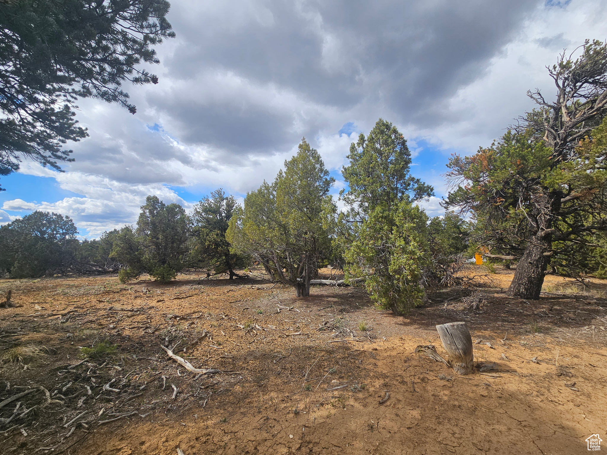 CEDAR MT 9 - Residential