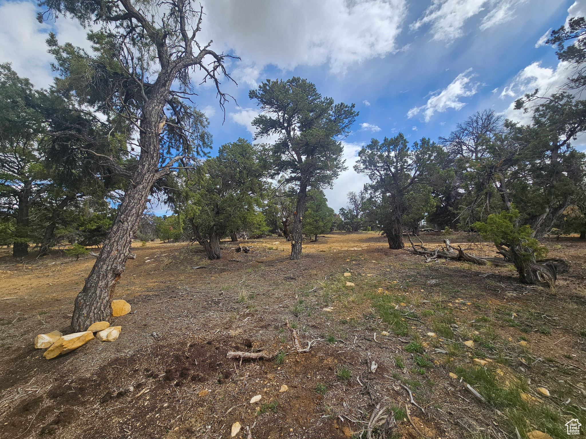 CEDAR MT 9 - Residential