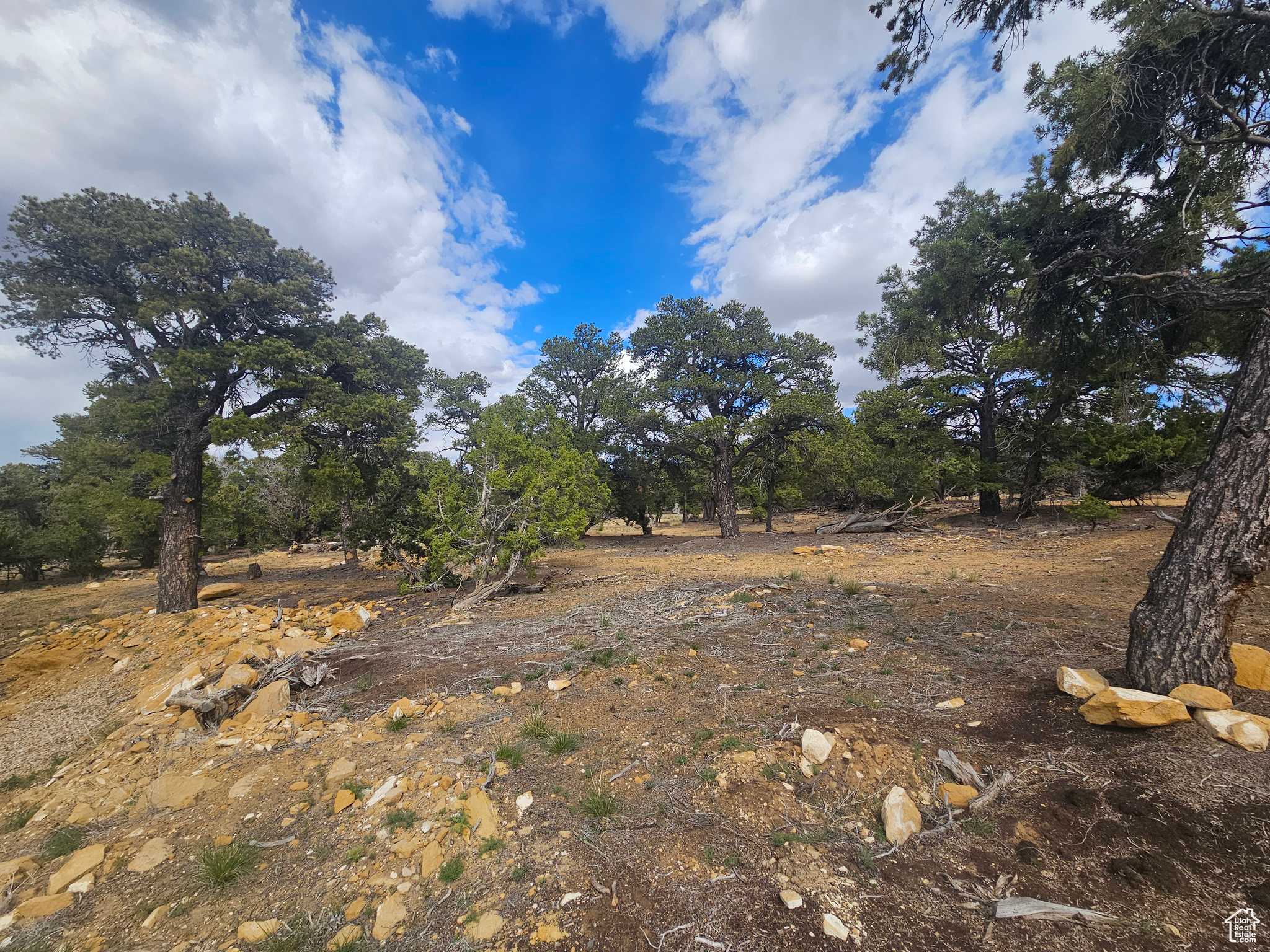 CEDAR MT 9 - Residential