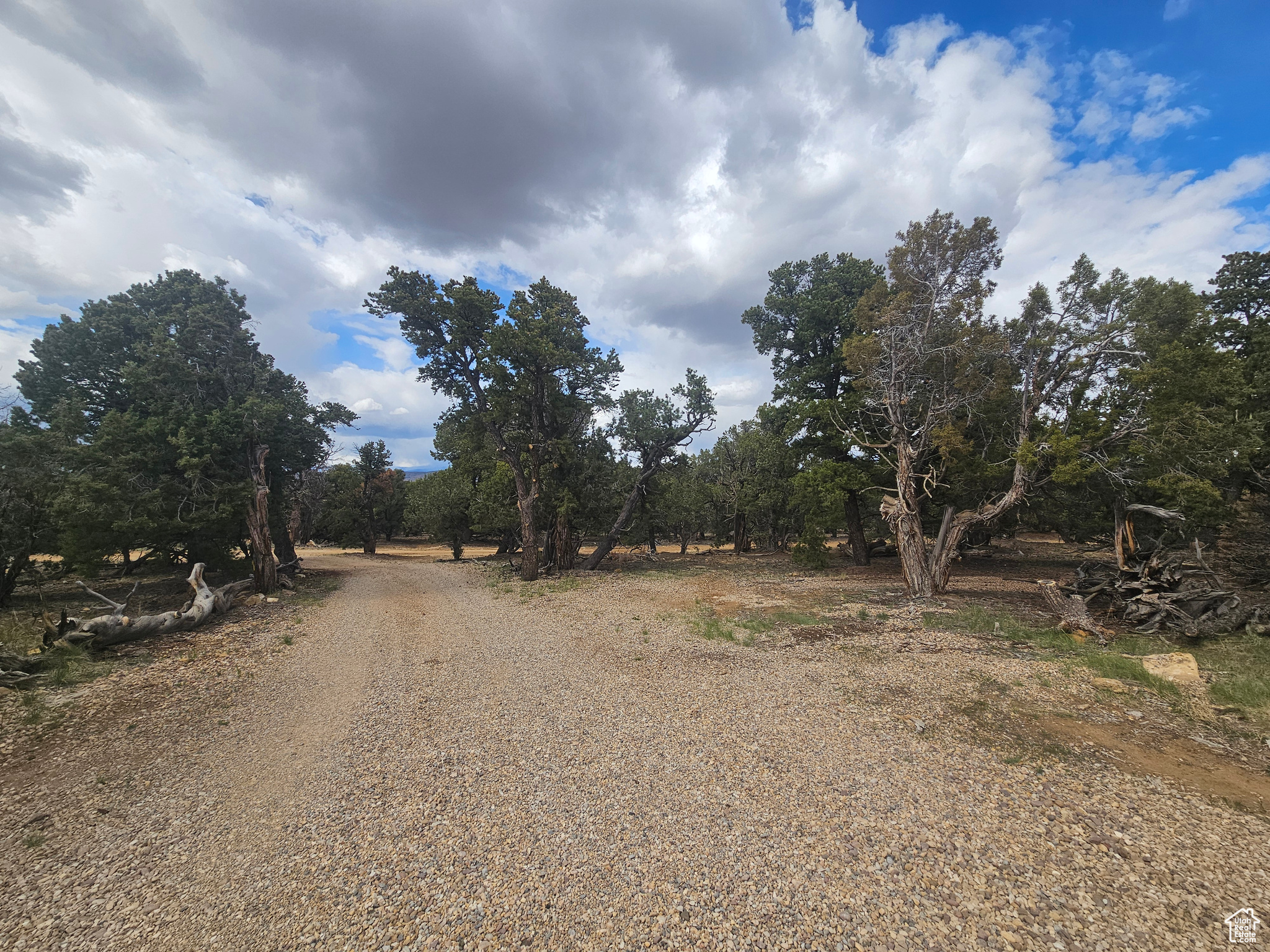 CEDAR MT 9 - Residential