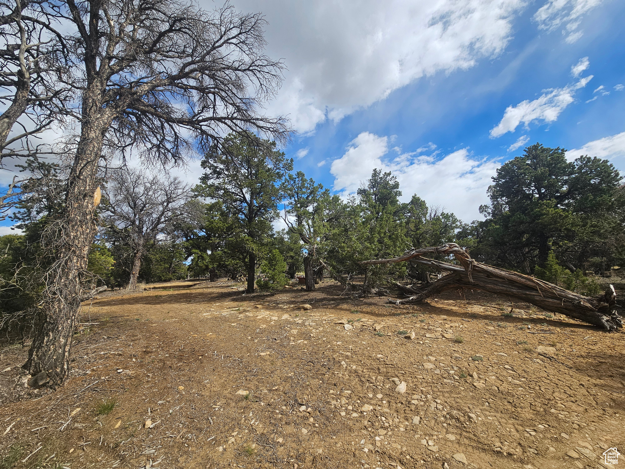 CEDAR MT 9 - Residential