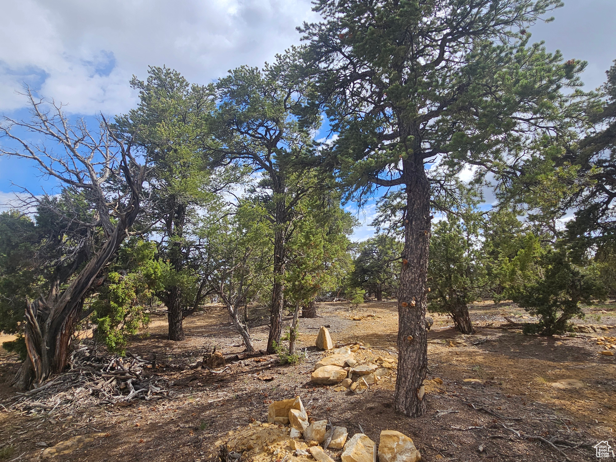 CEDAR MT 9 - Residential