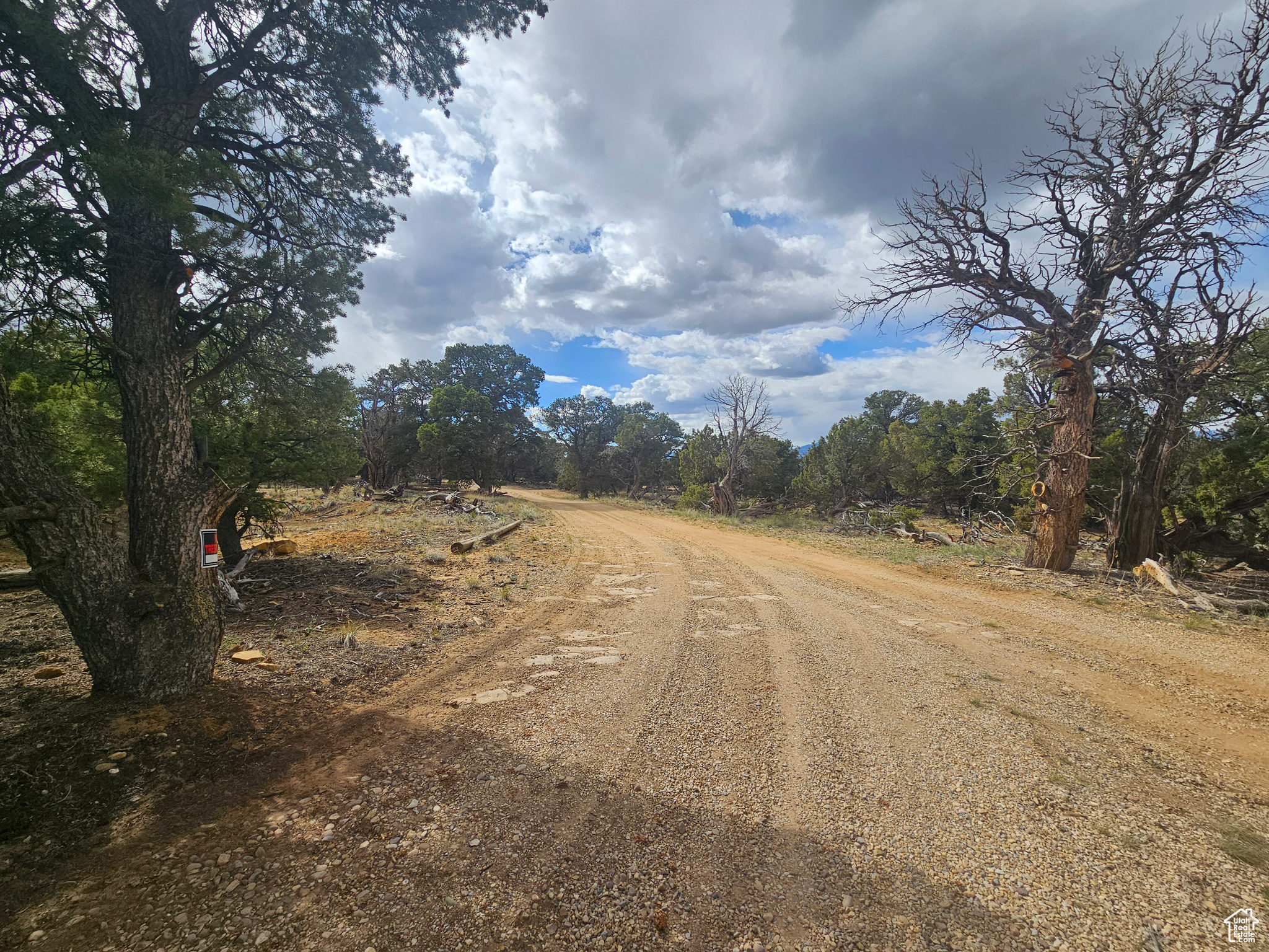 CEDAR MT 9 - Residential