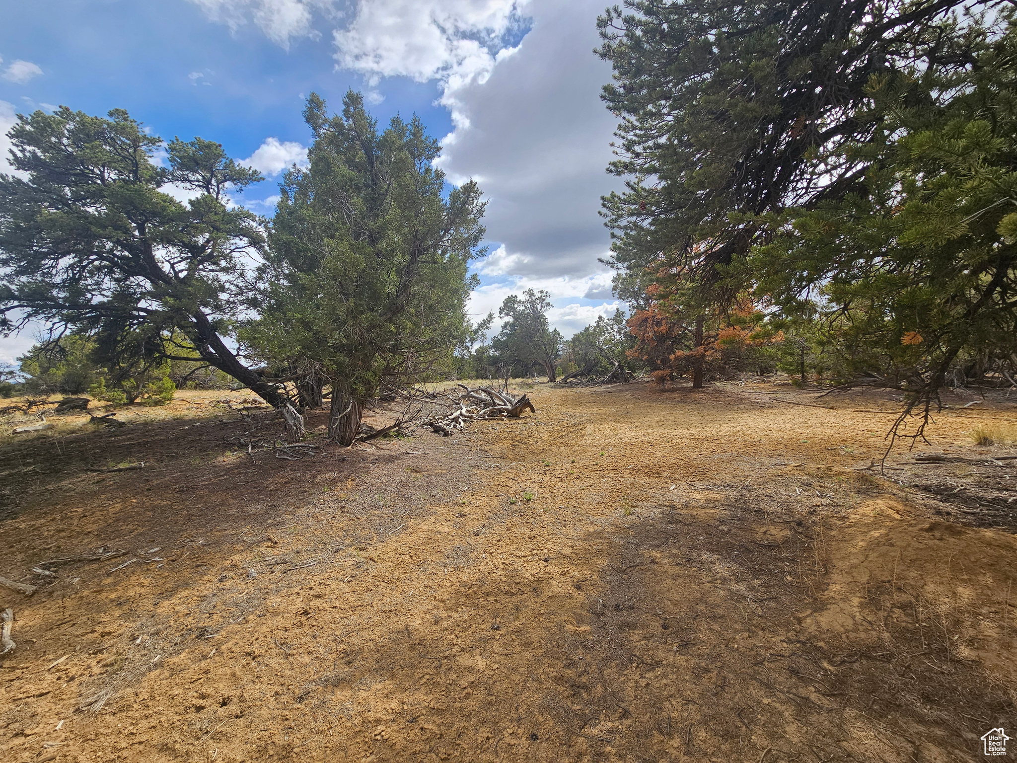 CEDAR MT 9 - Residential