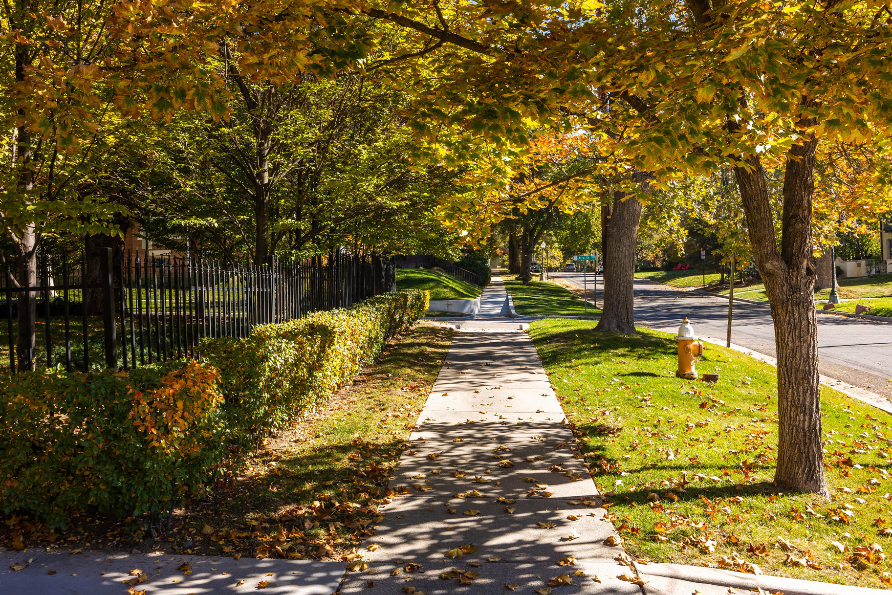 POPPERTON PLACE - Residential