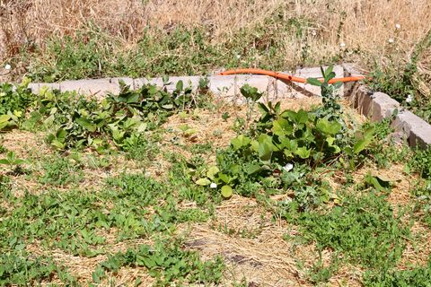 Tiny photo for 327 E MAIN ST, Grantsville, UT 84029 (MLS # 2169745)