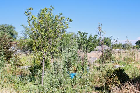 Tiny photo for 327 E MAIN ST, Grantsville, UT 84029 (MLS # 2169745)