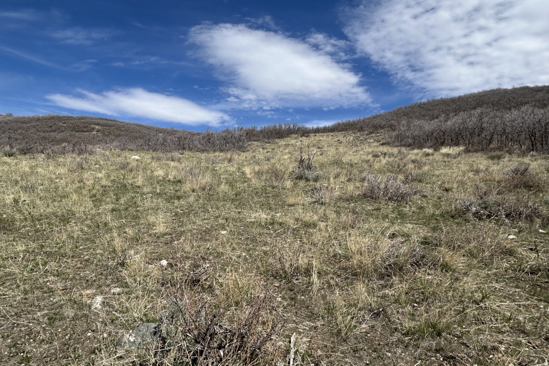RANCHES AT THE PRESERVE - Land