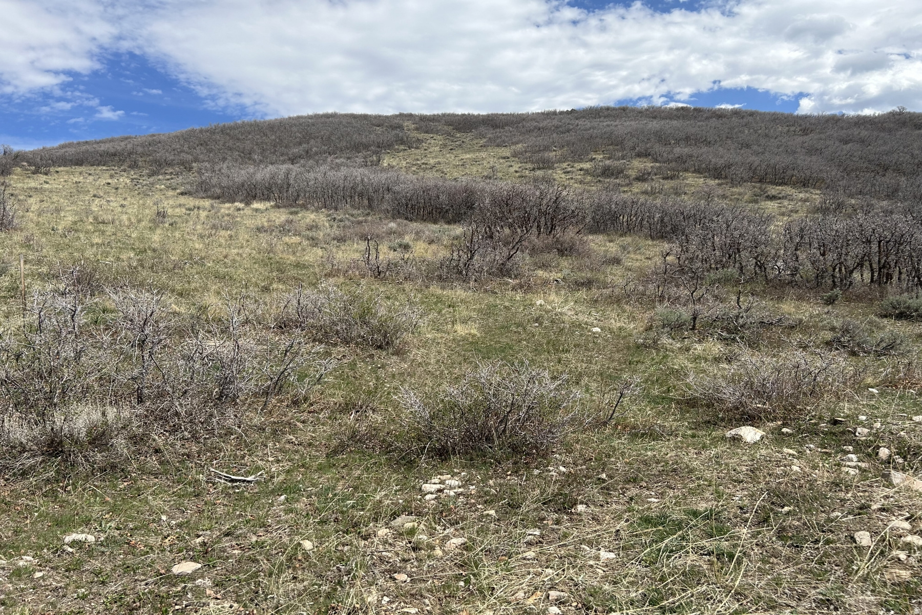 RANCHES AT THE PRESERVE - Land
