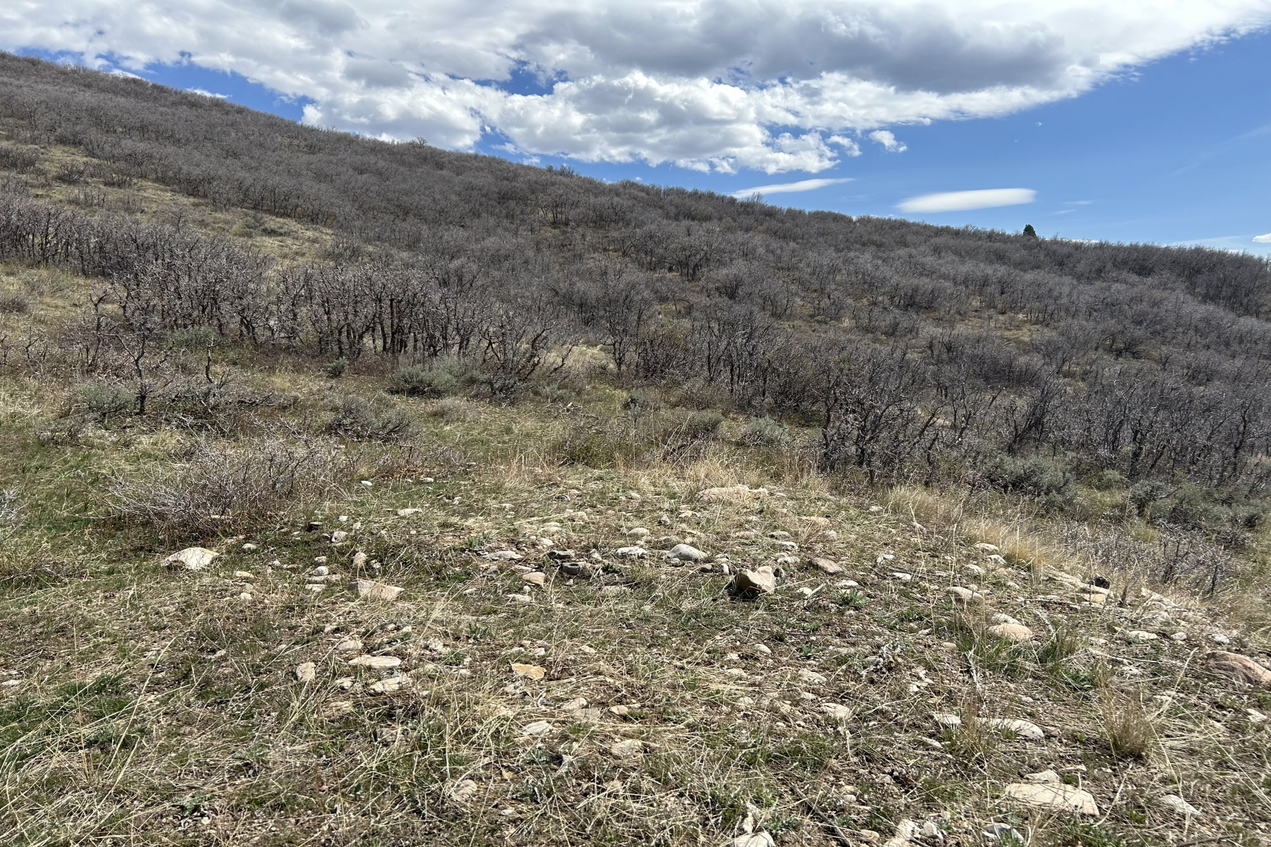RANCHES AT THE PRESERVE - Land
