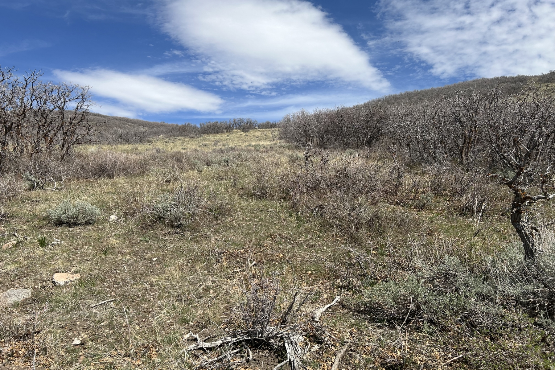 RANCHES AT THE PRESERVE - Land