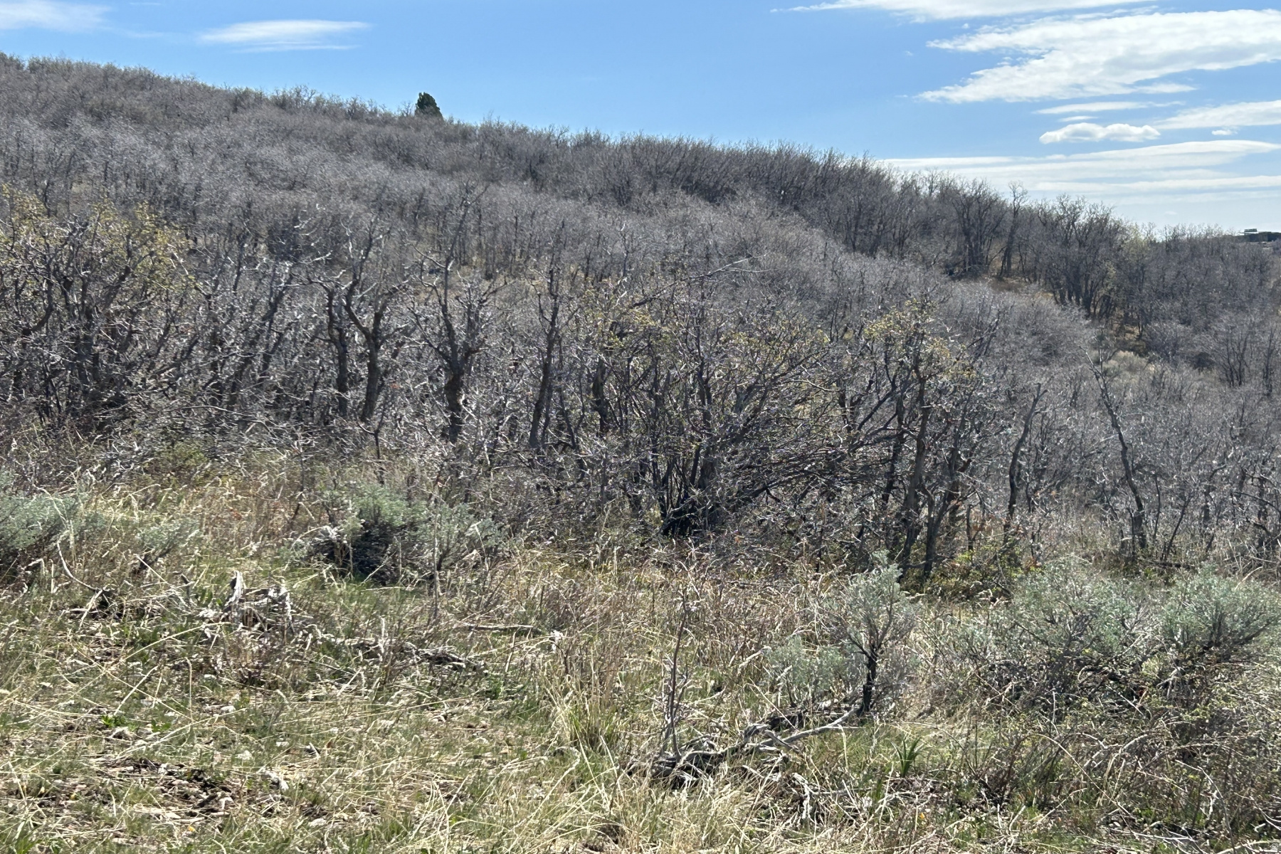 RANCHES AT THE PRESERVE - Land