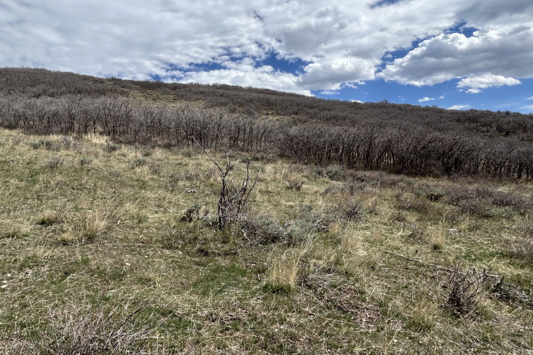 RANCHES AT THE PRESERVE - Land