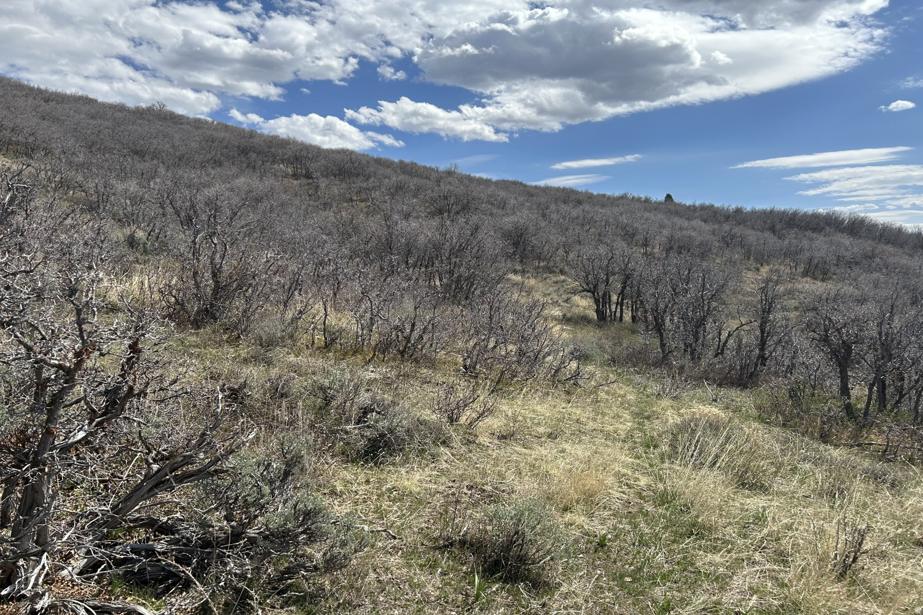 RANCHES AT THE PRESERVE - Land