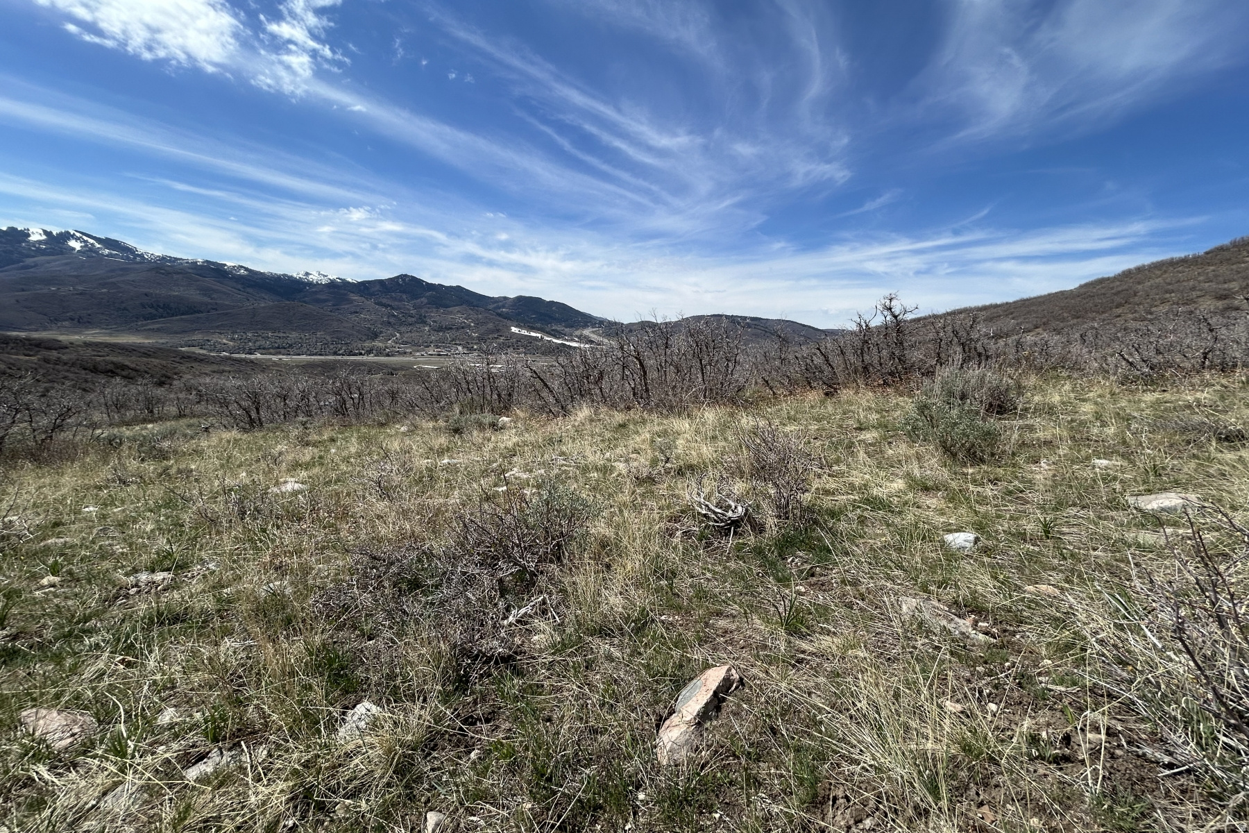 RANCHES AT THE PRESERVE - Land