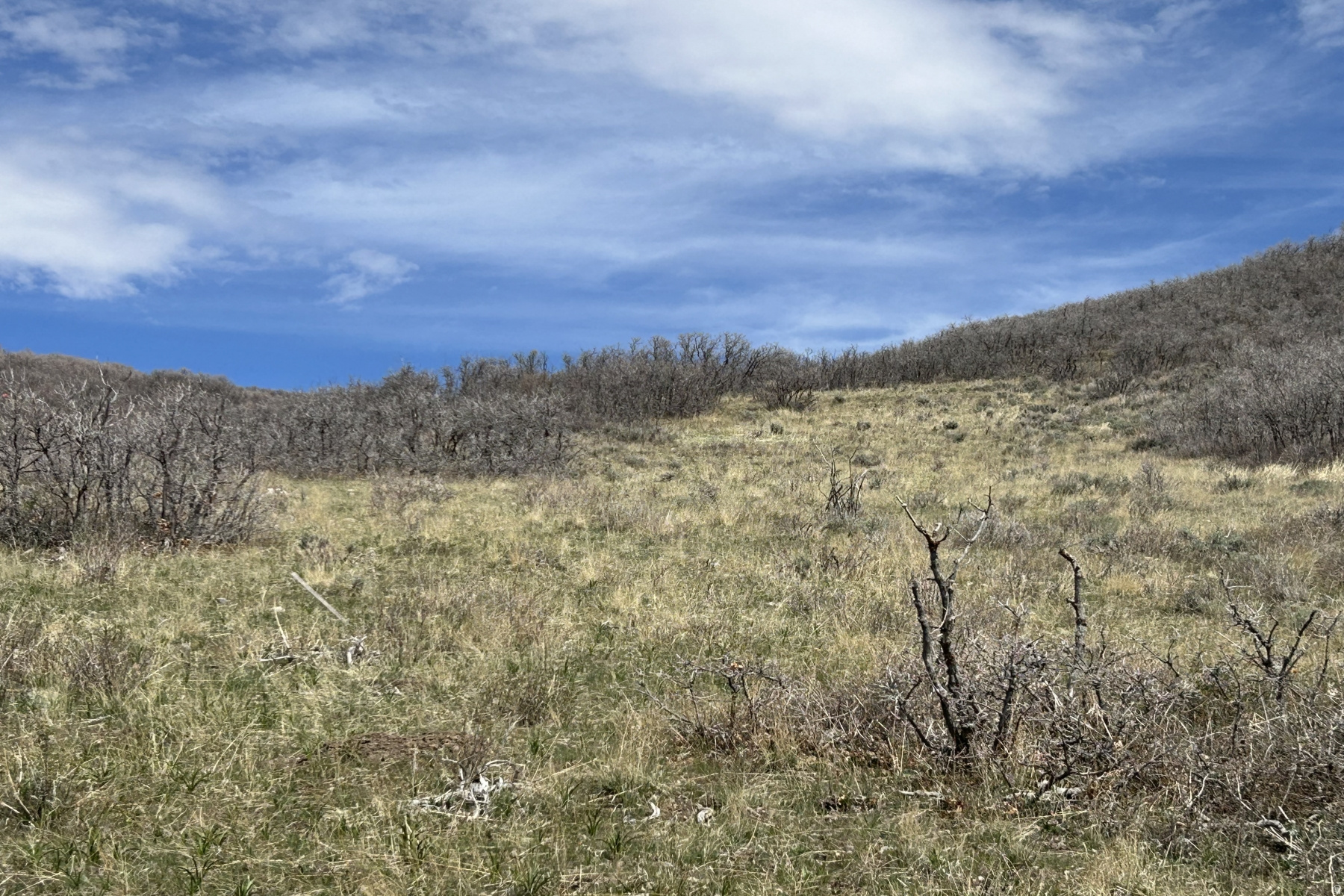 RANCHES AT THE PRESERVE - Land