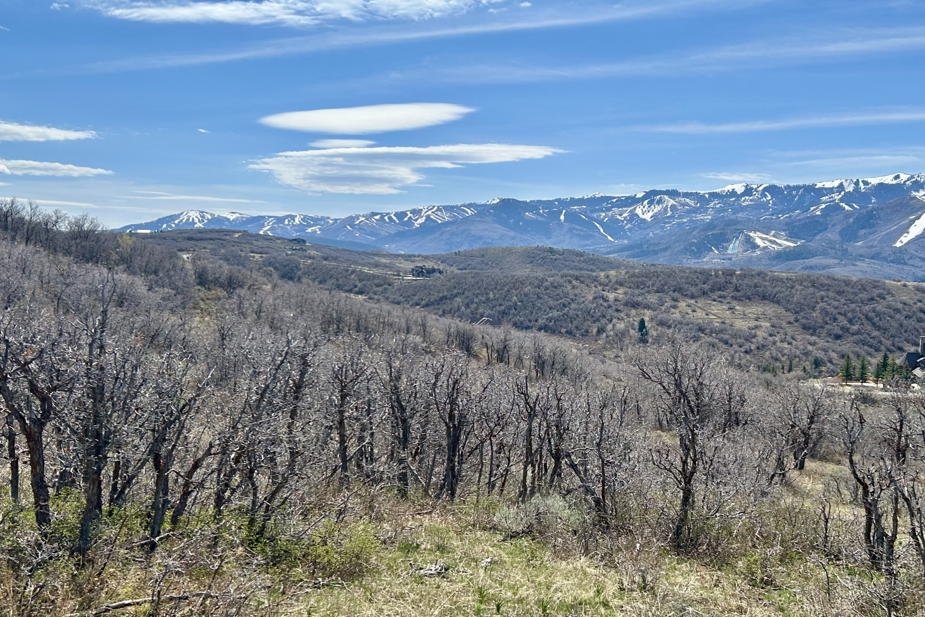 RANCHES AT THE PRESERVE - Land