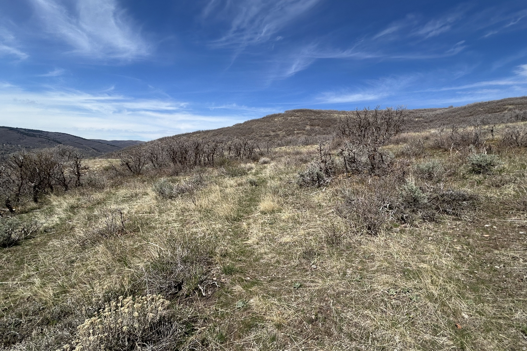 RANCHES AT THE PRESERVE - Land