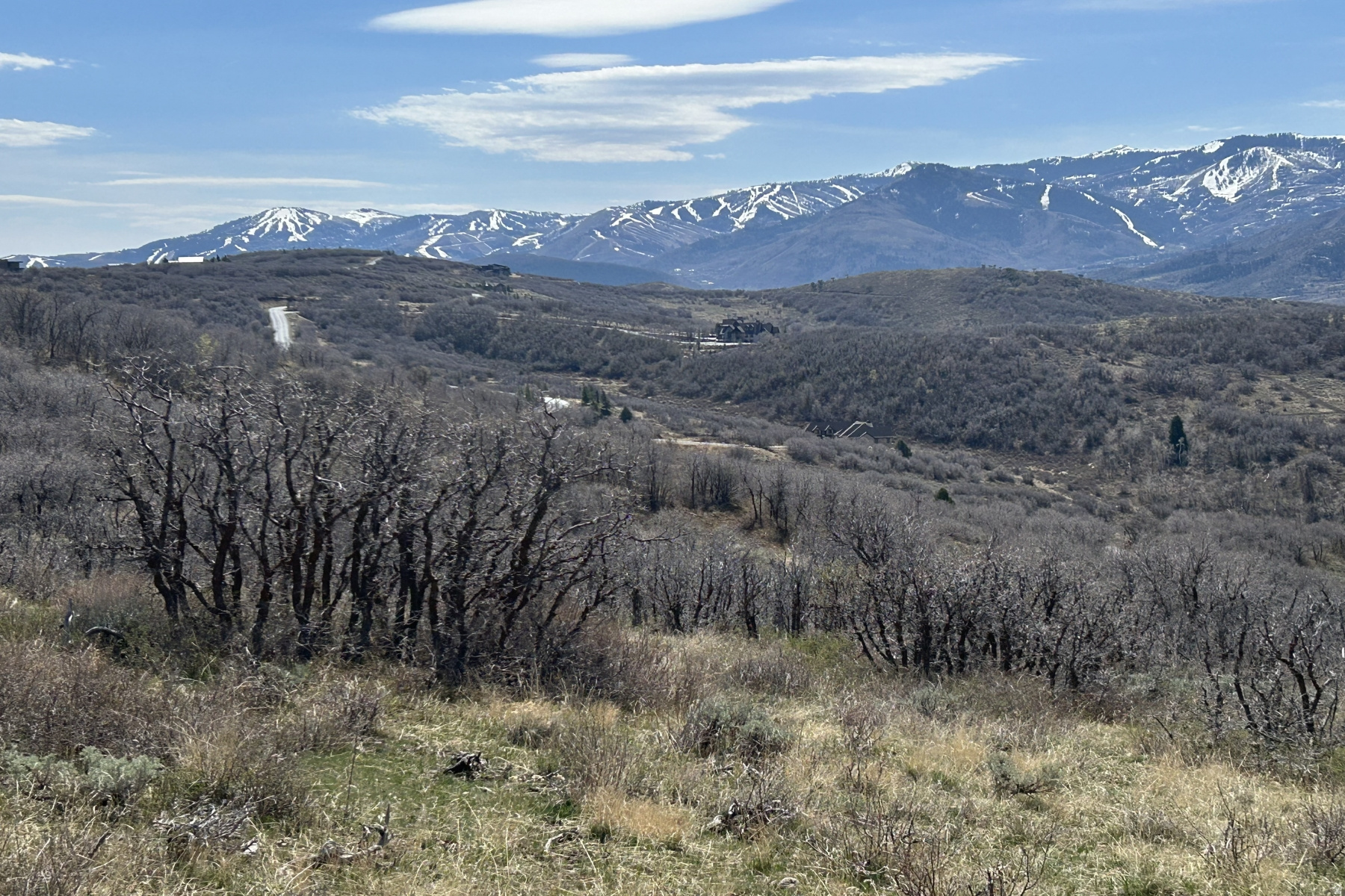 RANCHES AT THE PRESERVE - Land