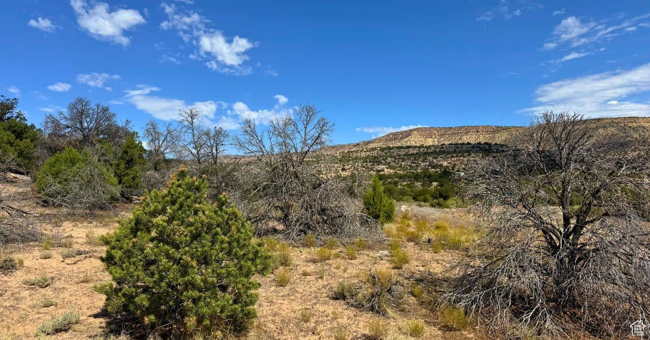 COYOTE HILLS NORTH - Land