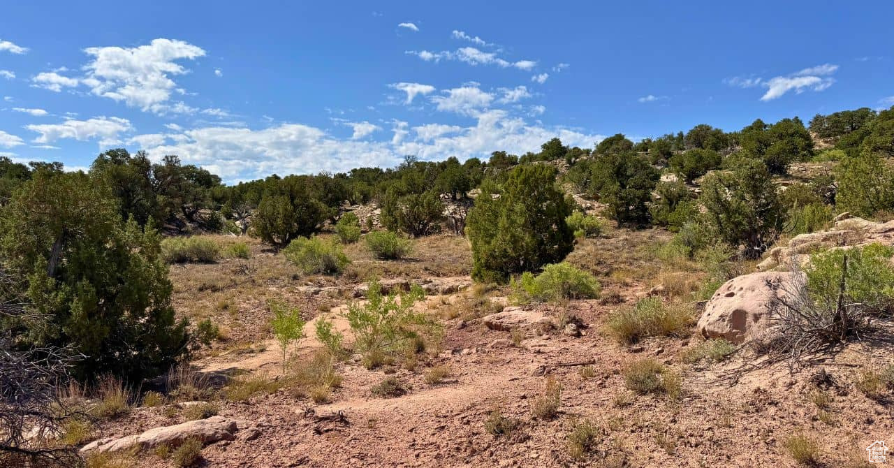COYOTE HILLS NORTH - Land