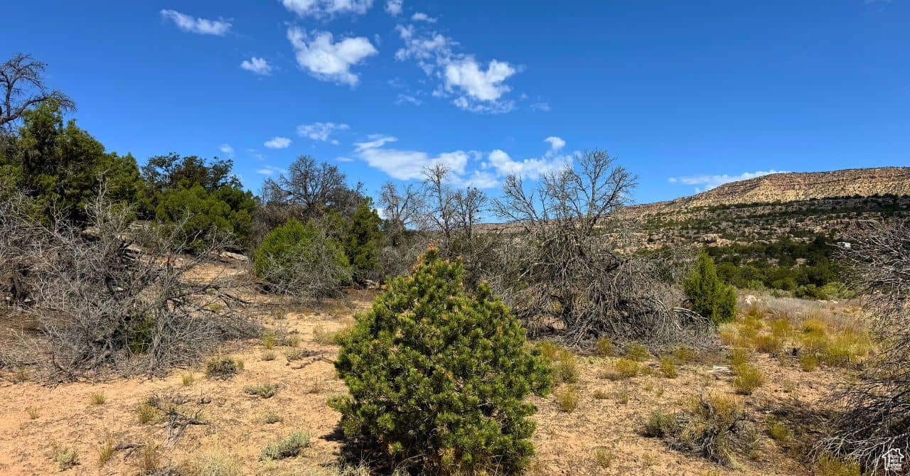 COYOTE HILLS NORTH - Land