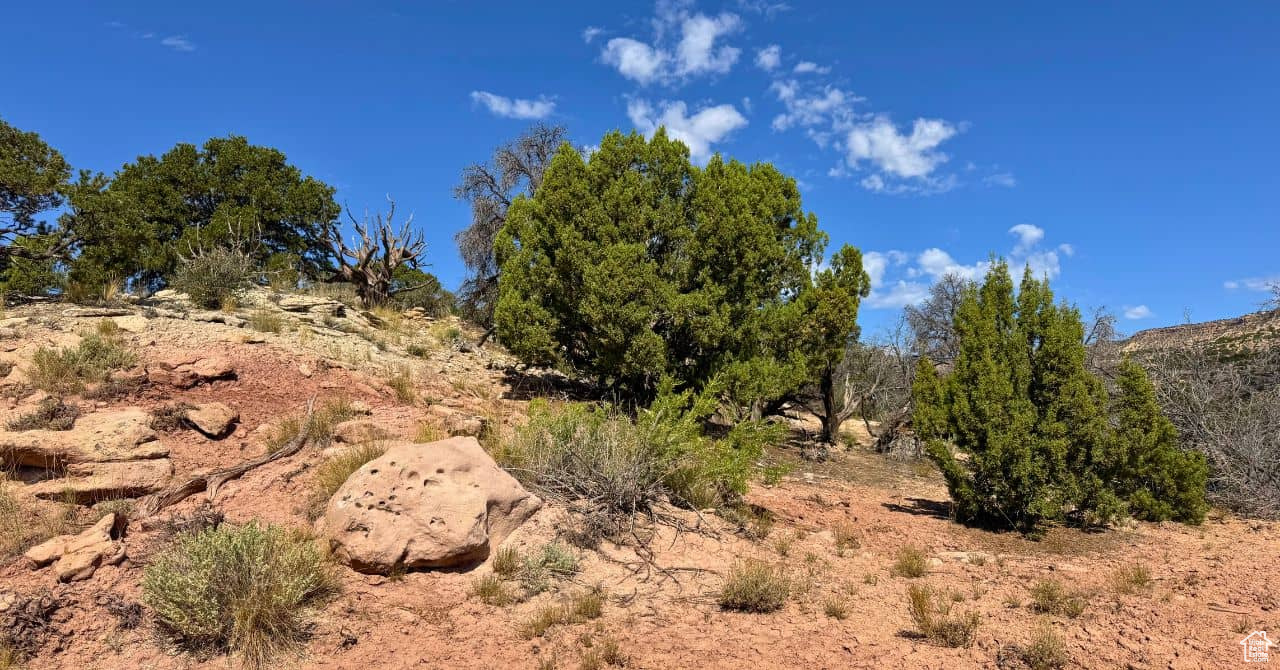 COYOTE HILLS NORTH - Land