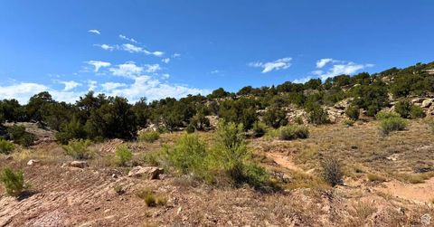 Vacant Land For Sale - #8<br/> Duchesne, UT 84021