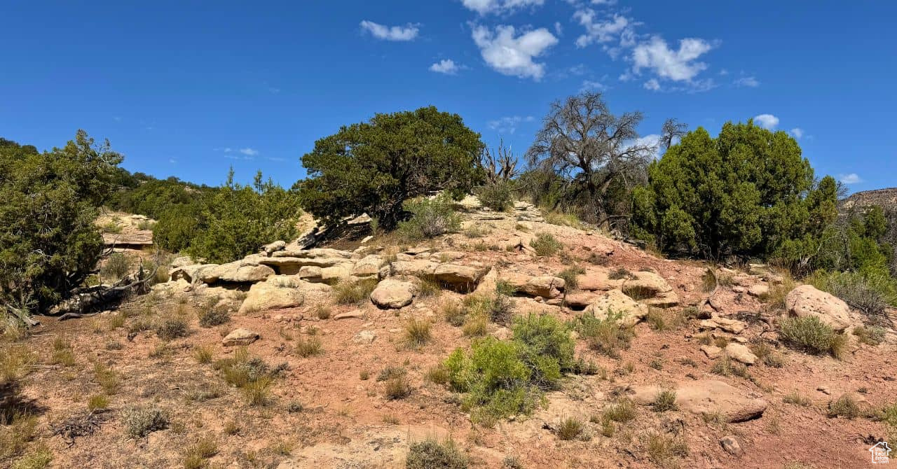 COYOTE HILLS NORTH - Land