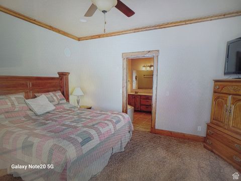 Tiny photo for 67 S ASPEN COVE DR. Dr W #67, Scofield, UT 84526 (MLS # 2114944)