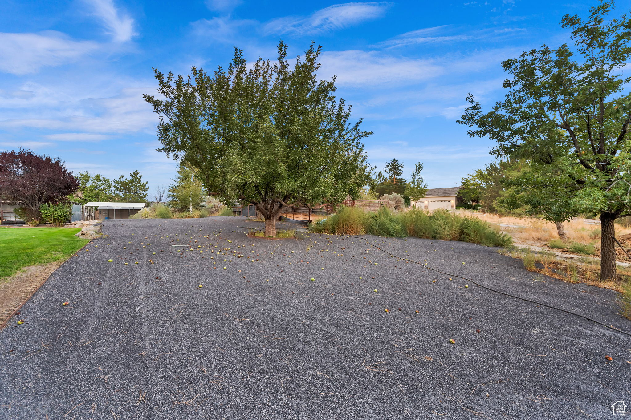 CEDAR PASS NORTH PLAT A - Residential