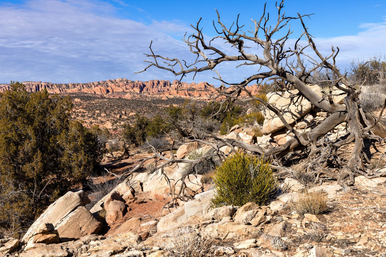 BRIDGER JACK MESA SUBDIVISION - Land