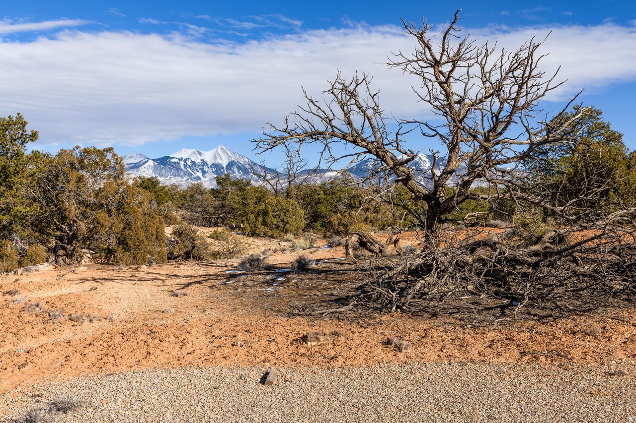 BRIDGER JACK MESA SUBDIVISION - Land