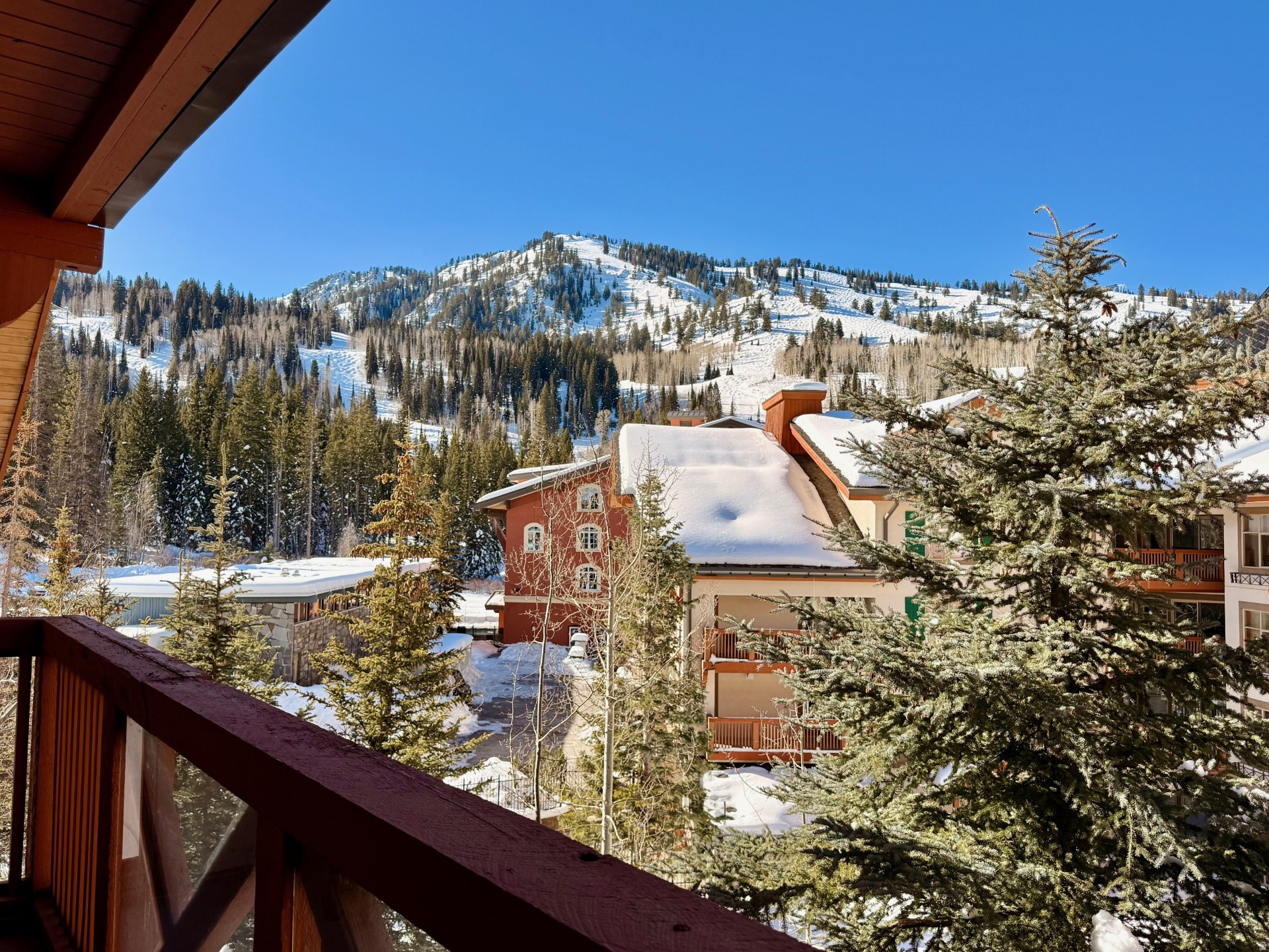 POWDERHORN LODGE - Residential