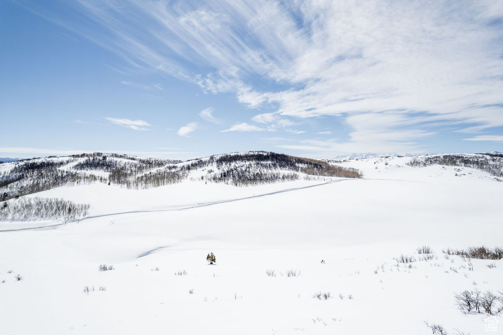 Heber City, Utah 84032, United States, ,Land,Active,73491
