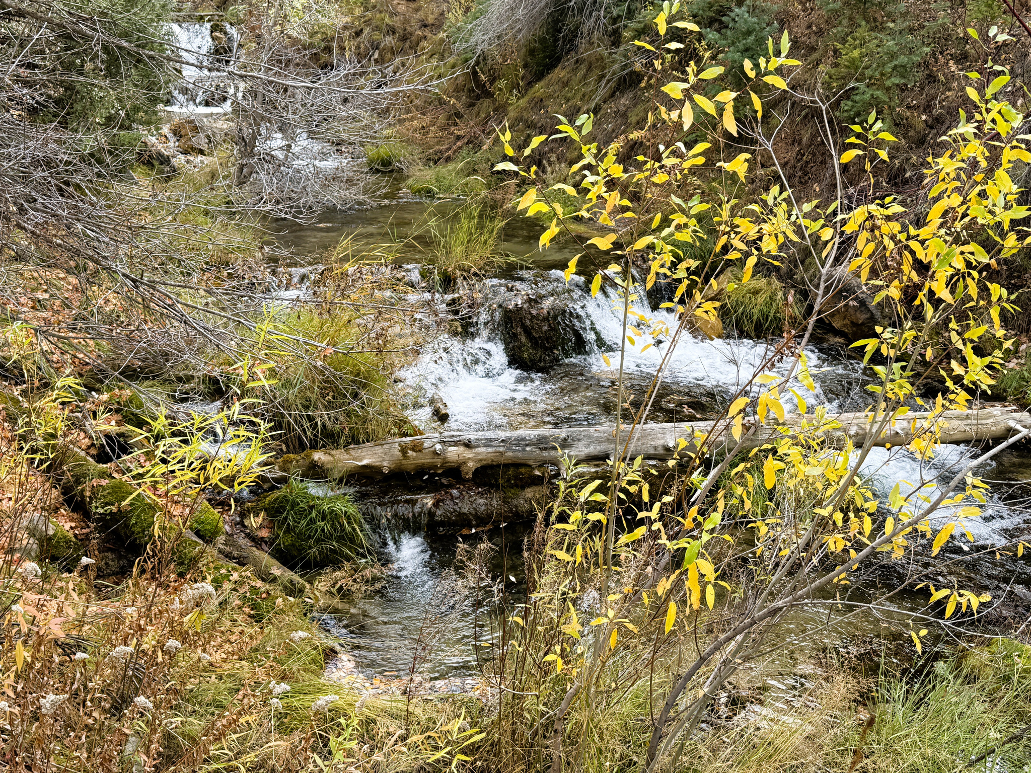 PINE CREEK RANCH VISTA SUBDIVISION - Land