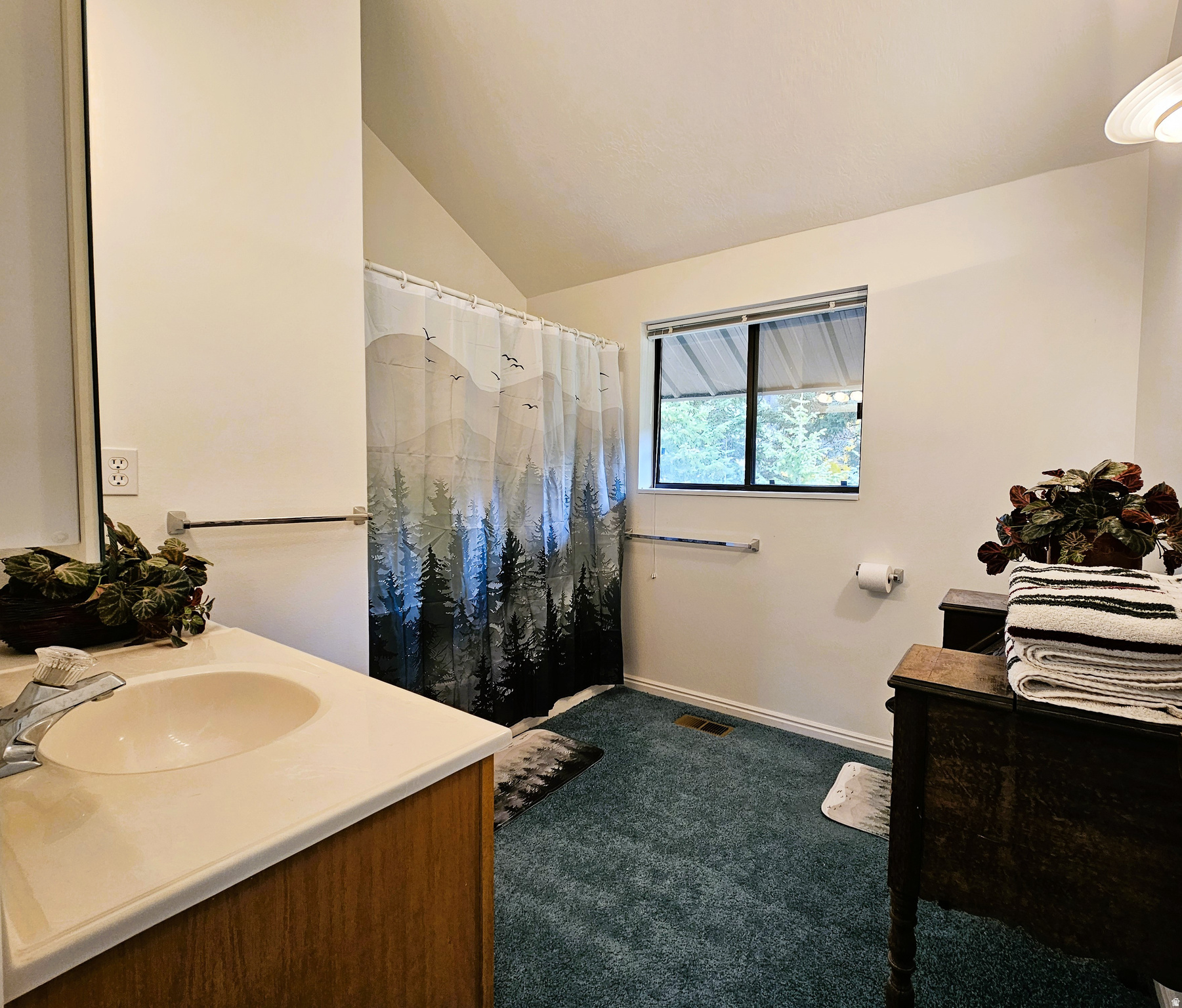 PINE CREEK RANCH VISTA SUBDIVISION - Land