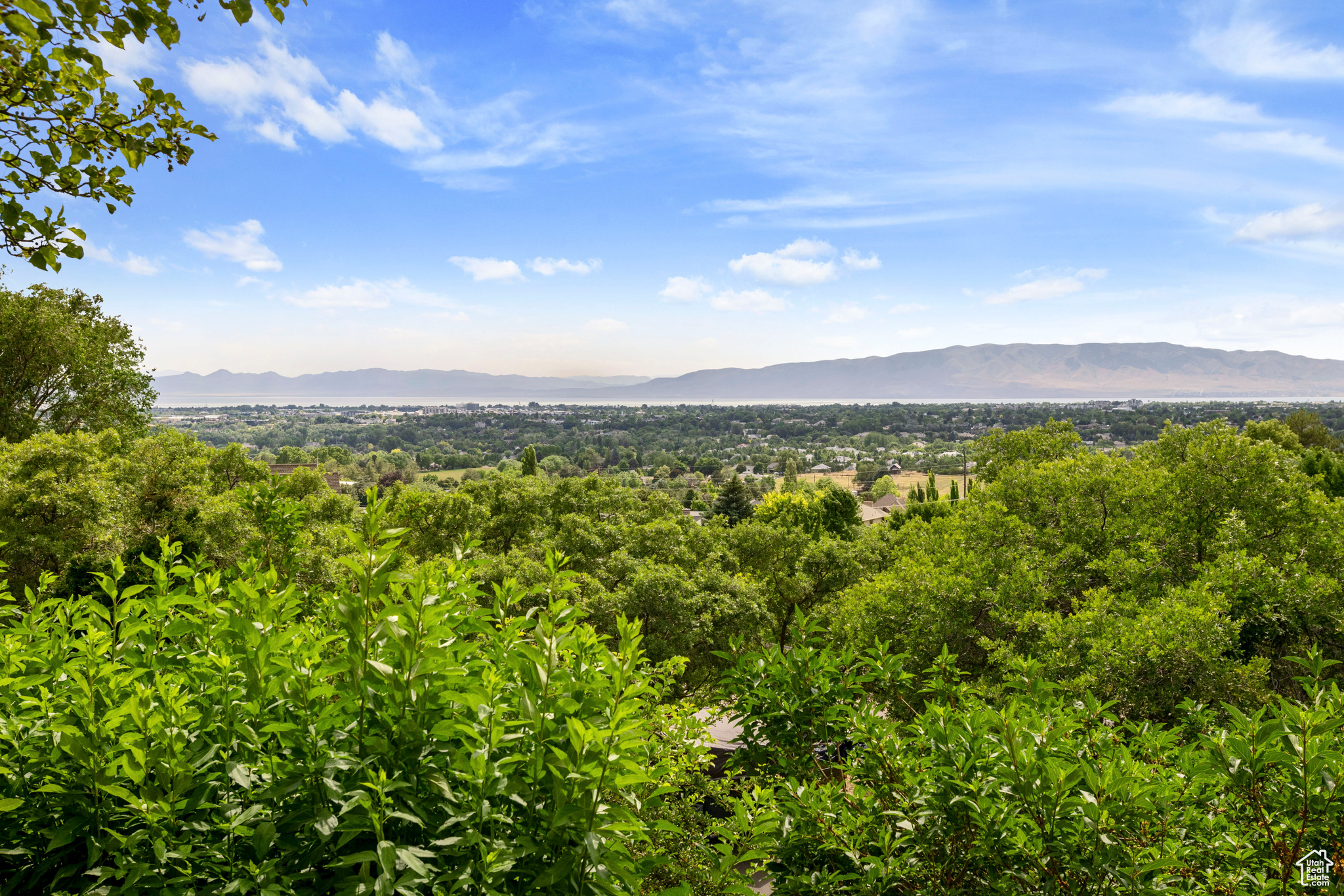 HILLSIDE OAKS - Residential