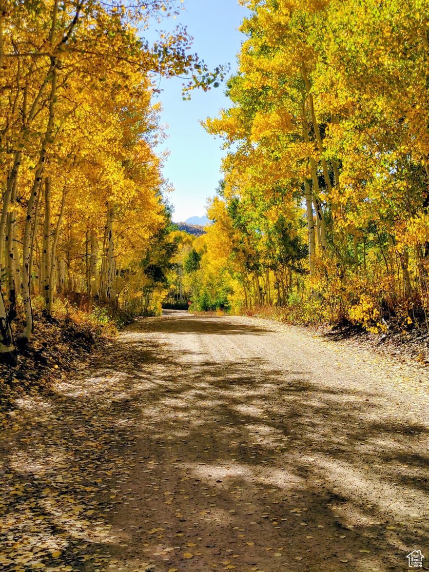 Fantastic upper-section Timber Lakes lot that is completely flat and covered in large aspen trees. Passing perc test, easy build, and great price.