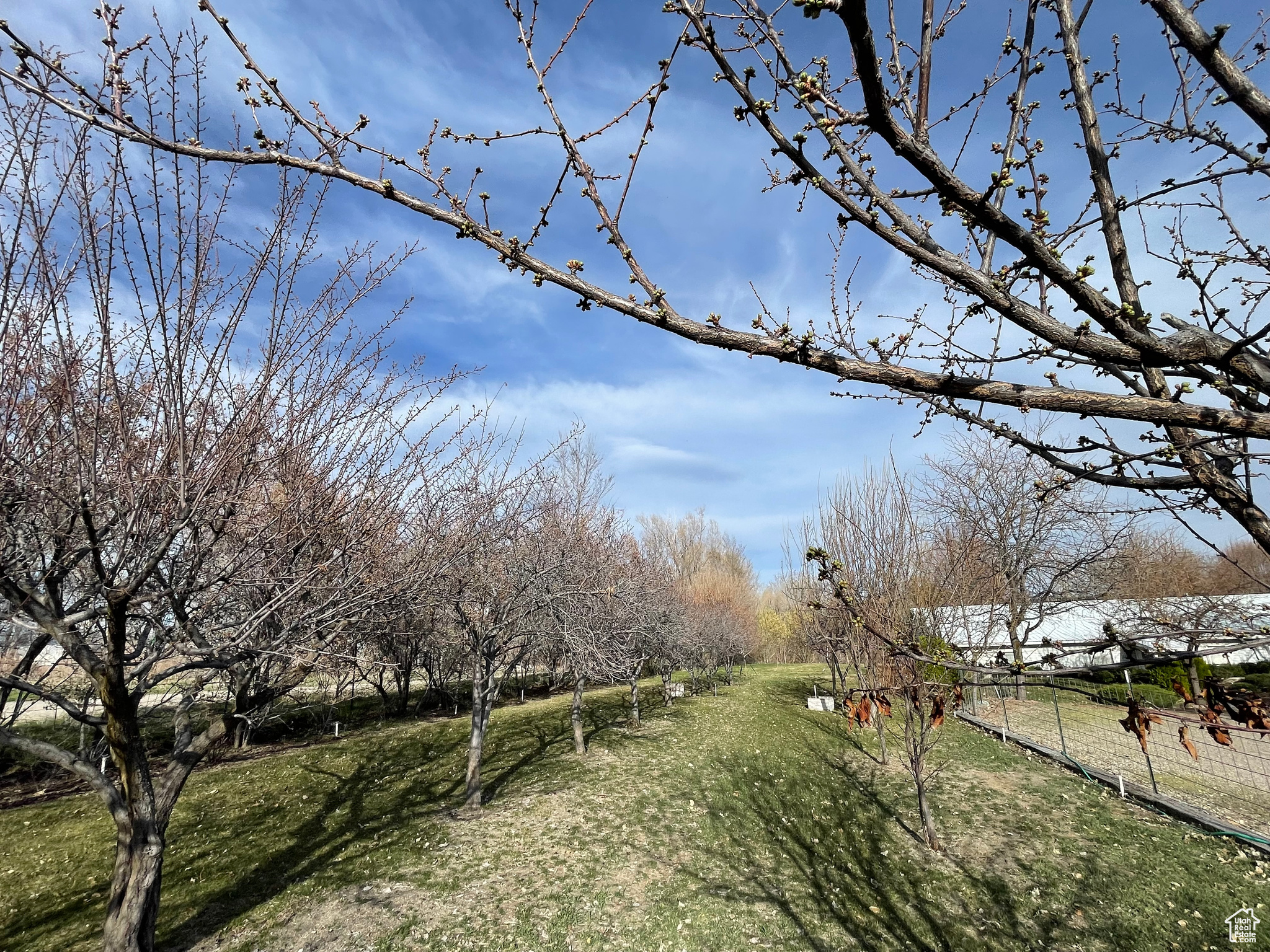848 N 500, Malad City, Idaho image 11