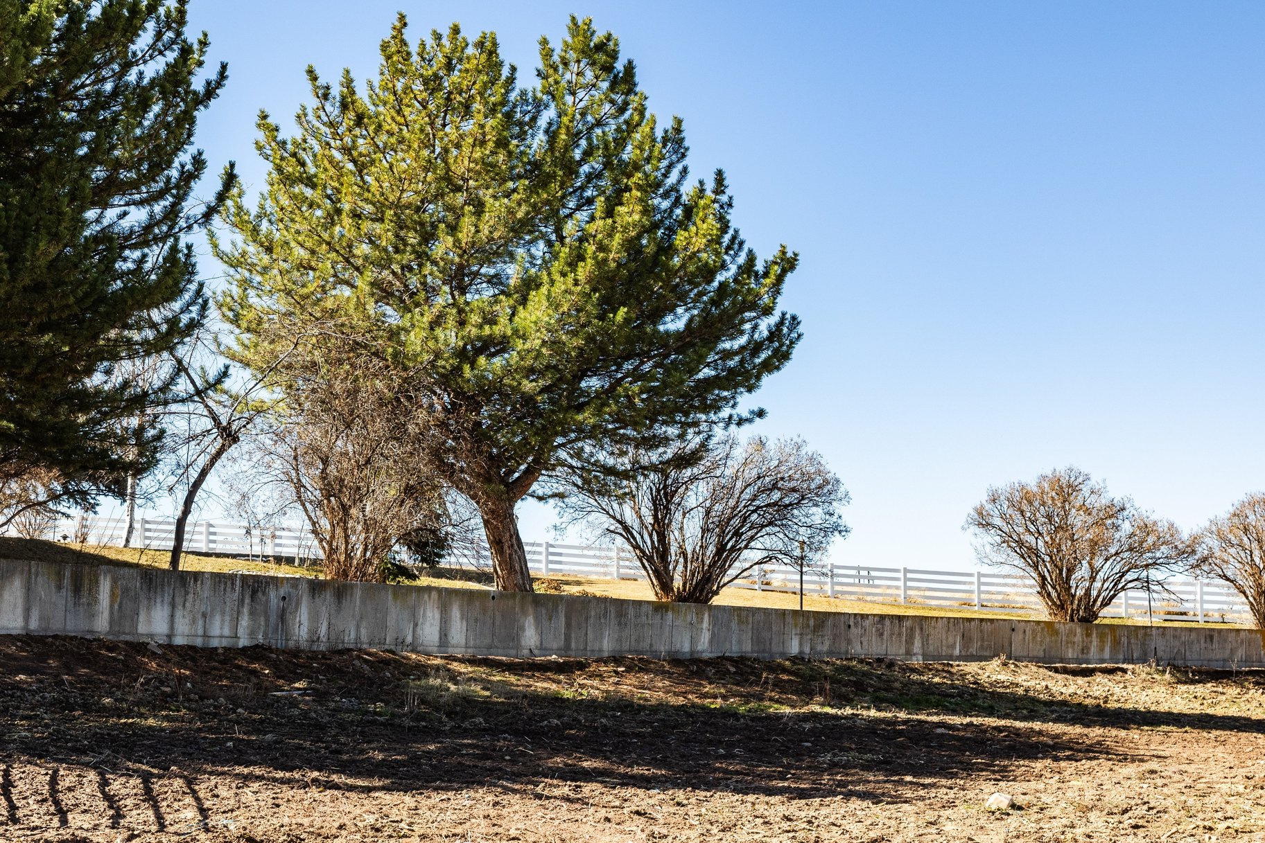 MAGNOLIA LANE - Land