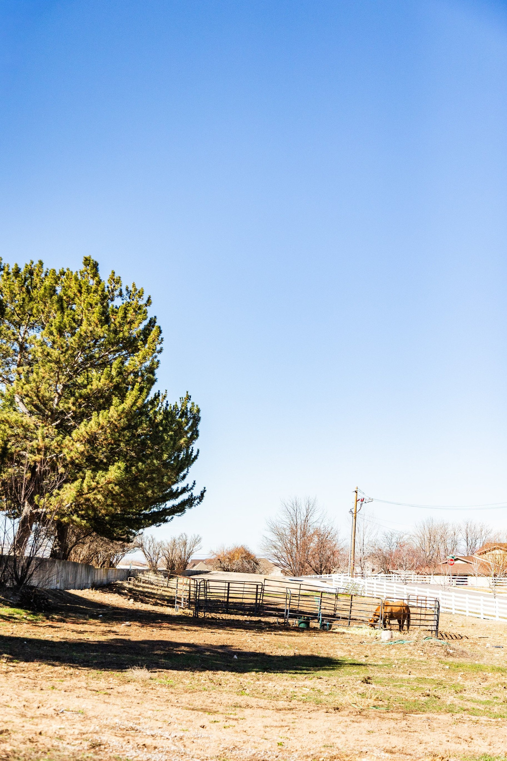 MAGNOLIA LANE - Land