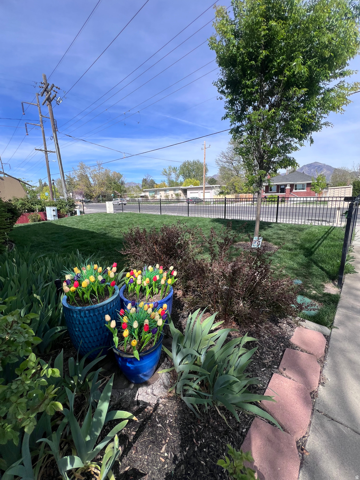 CAROLEE CONDOMINIUMS - Residential