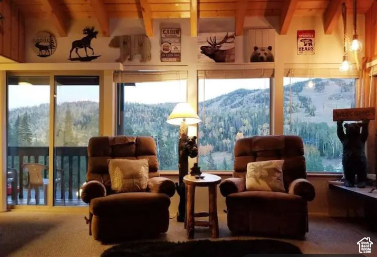 Come see a beautiful, unobstructed view with a total cabin experience. You can watch skiers from the kitchen and living room. This cabin is beautifully decorated with antique snowshoes, skis, sleds, and signage actually from the mountain. Enjoy a raging fire after a long day of skiing. You're so close to the slopes that you can hear skiers coming down the mountain from the balcony. This was enjoyed by the owners, and guests who stayed here using Airbnb. The floors were updated with LVP and Carpet in 2023. Agent related to seller