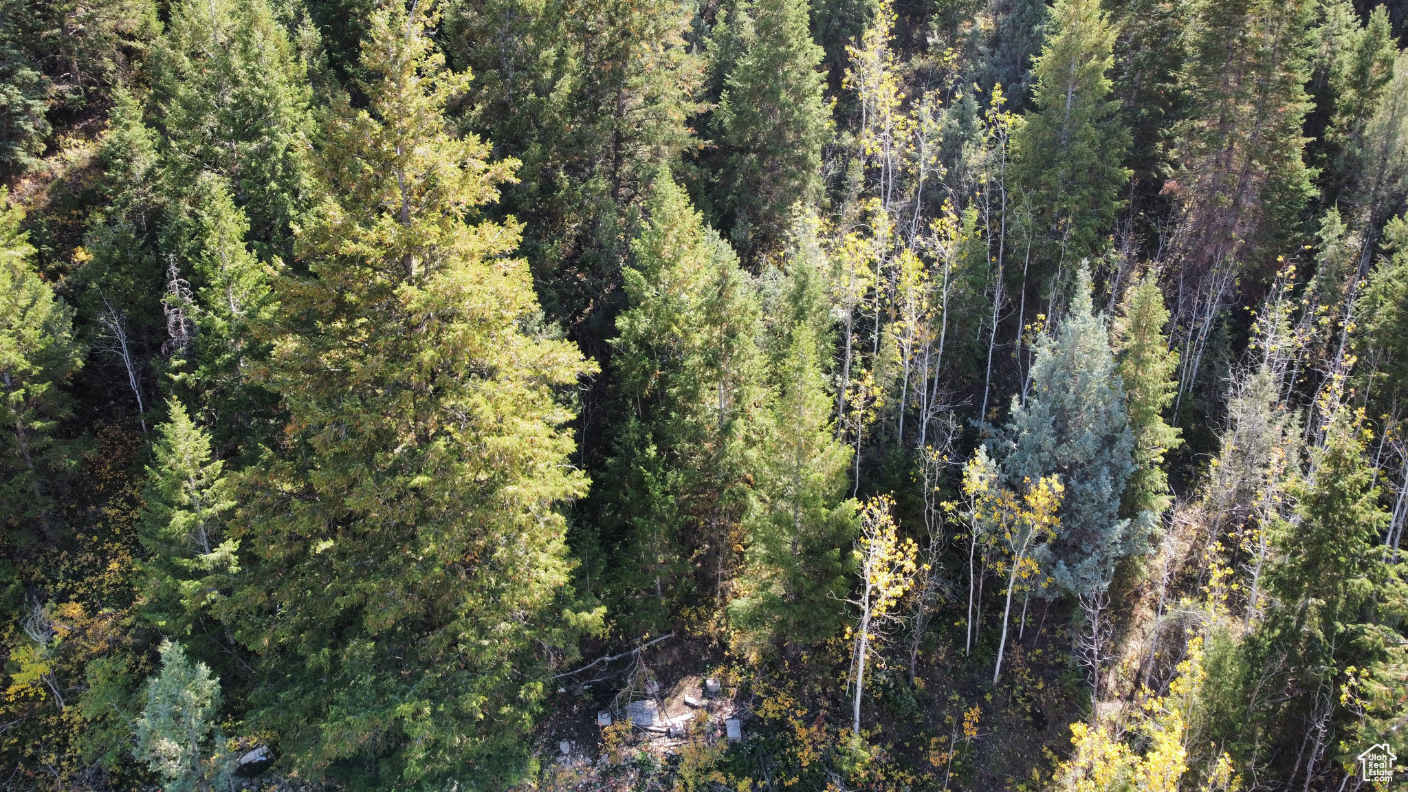 SAMAK HILLS - Land
