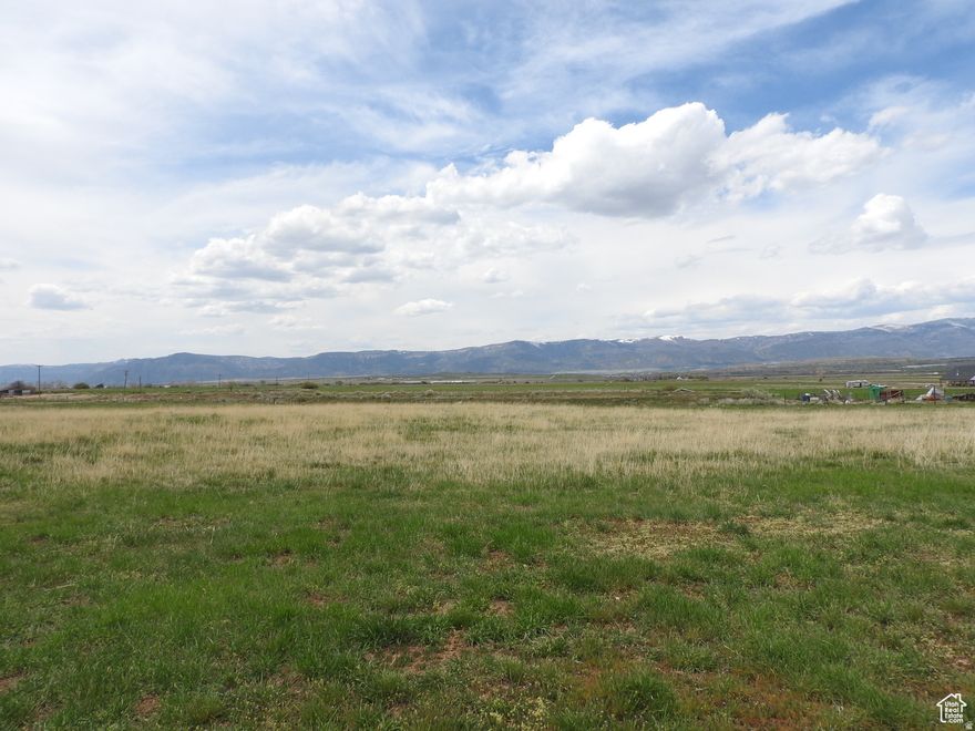 This is lush pasture and is a great parcel for animals and has the potential for a homesite with beautiful views of the valley and mountain ranges. Comes with 2 shares of Twin Creek Irrigation. 39.52096-111/seemap.48524 Buyer to verify all information.